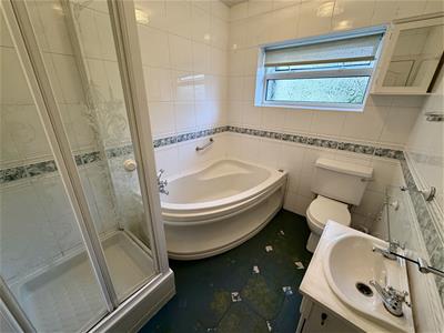Picture 20
